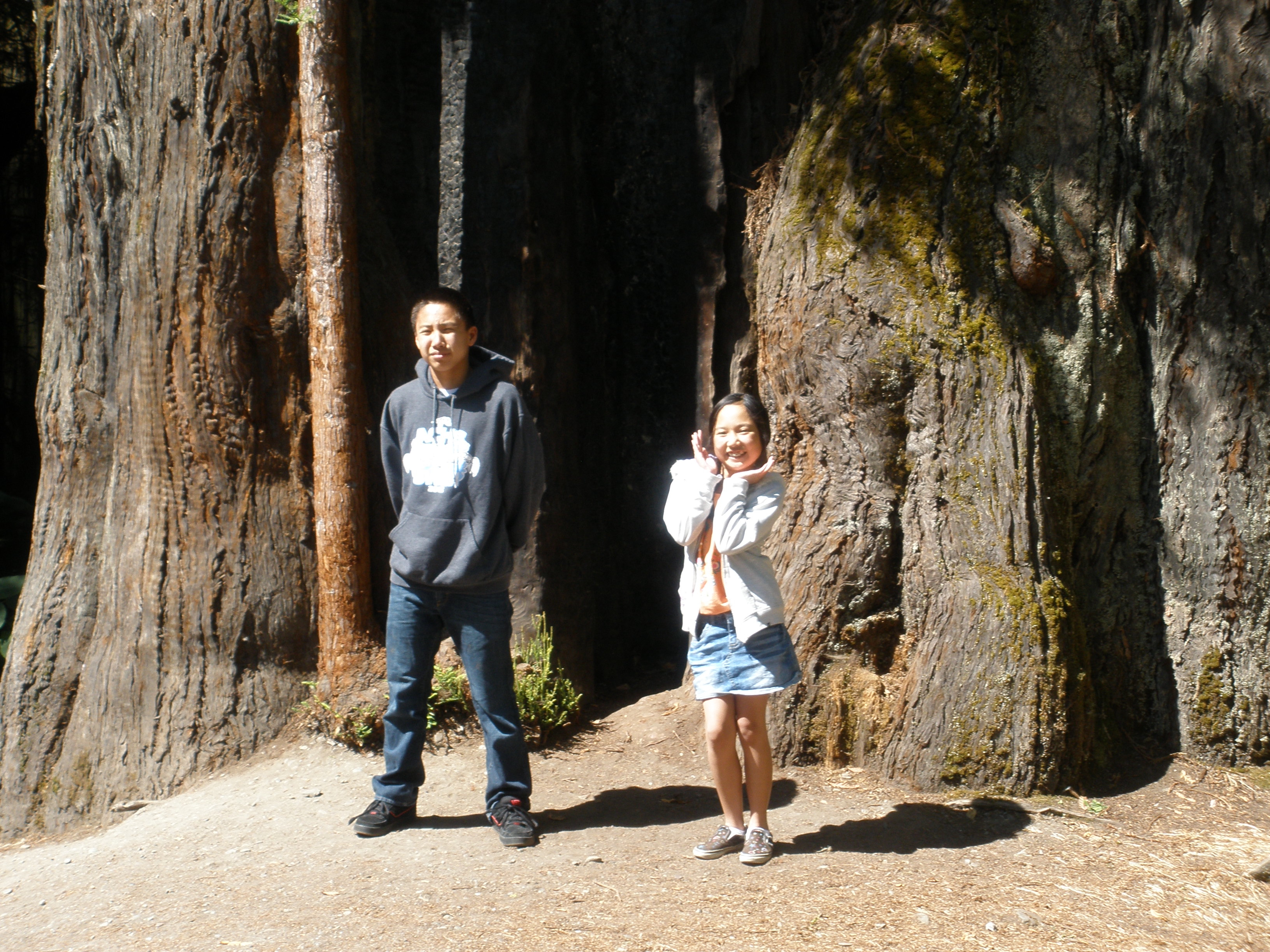 Summer, 2012, with Kara, Andrew and Madeline - Avenue of the Giants - 12